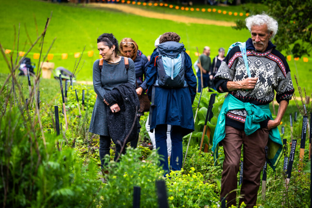 kraeuterfestival-2025-botanischer-heilpflanzengarten.jpg