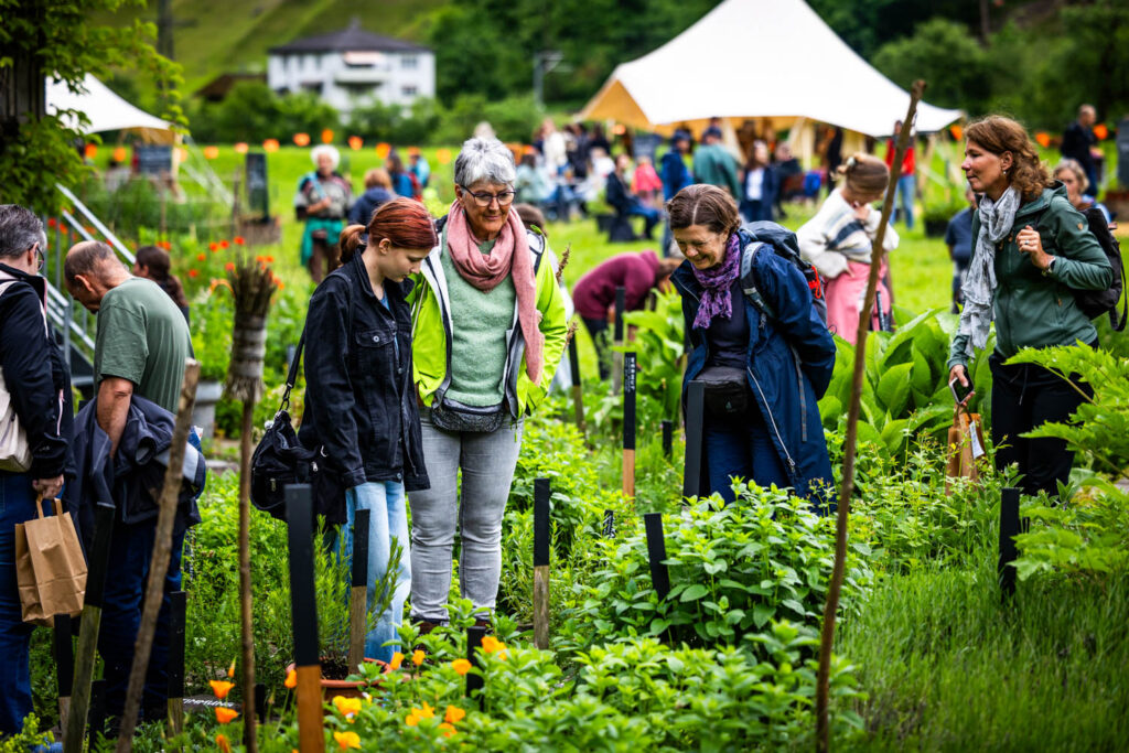 kraeuterfestival-2025-botanischer-heilpflanzengarten-2.jpg
